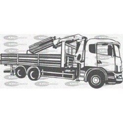CAMION GRUA