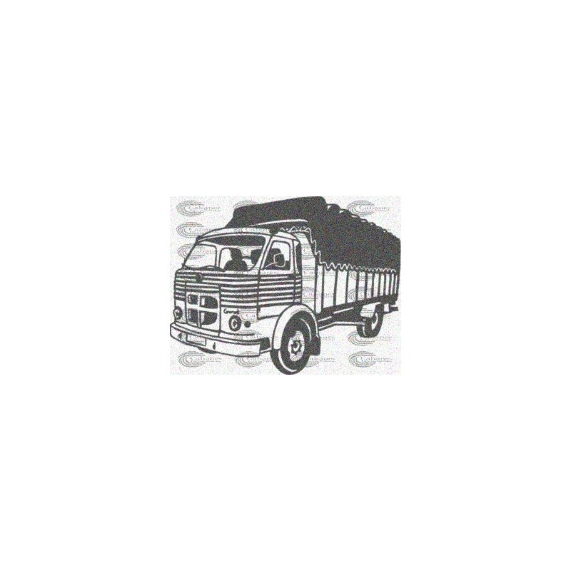 CAMION  PEGASO