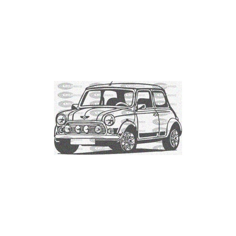 COCHE MINI COUPE