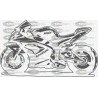 MOTO KAWASAKI NINJA