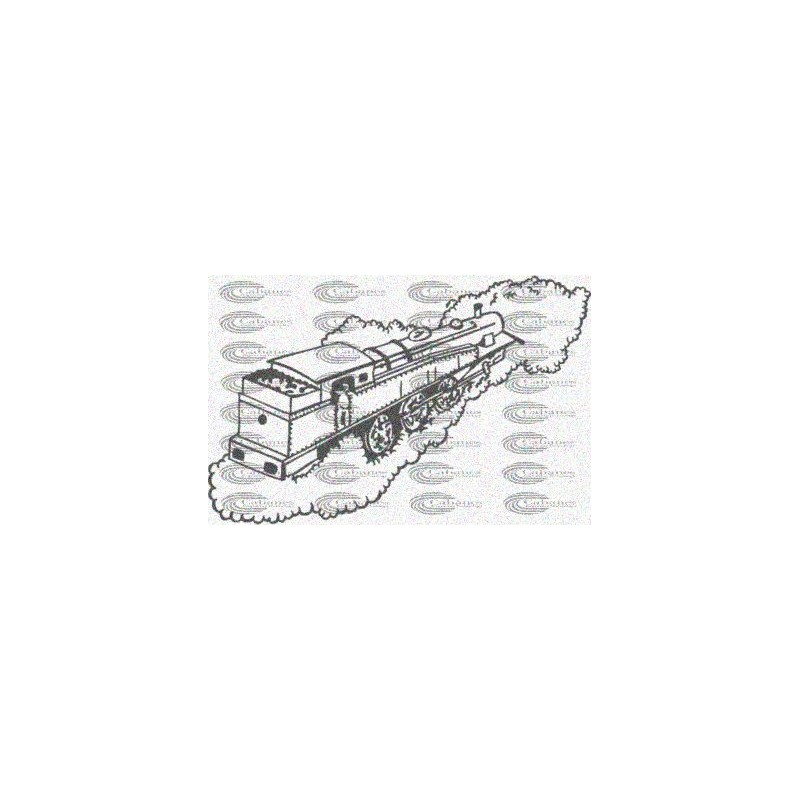 LOCOMOTORA TREN