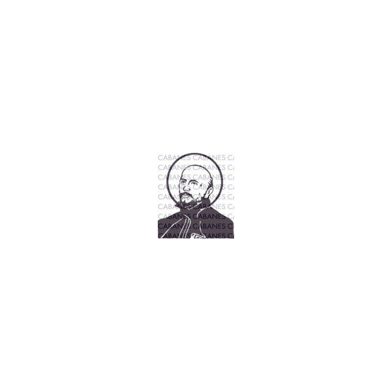 SANTO IGNACIO LOYOLA