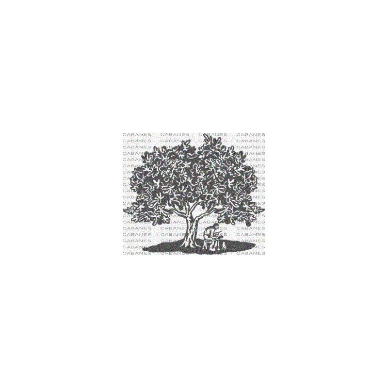 ARBOL HIGUERA HOMBRE