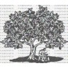 ARBOL HIGUERA HOMBRE