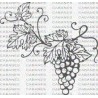 RACIMO UVAS