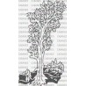 PAISAJE ARBOL