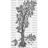 PAISAJE ARBOL