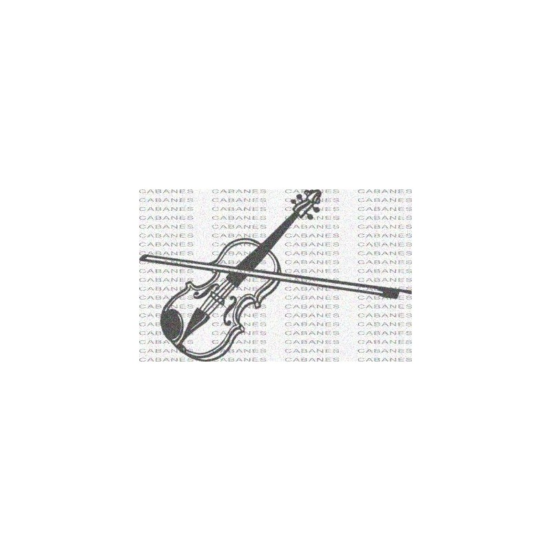 INSTRUMENTO VIOLIN ARCO